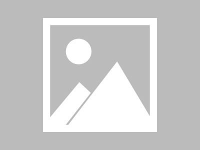 在禅城，数字化与智慧共生，数字展会新机遇